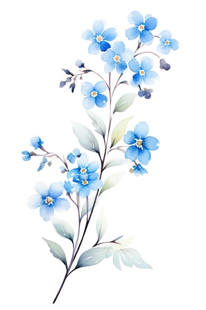 Forgetmenot twig pastel blue tones watercolor technique