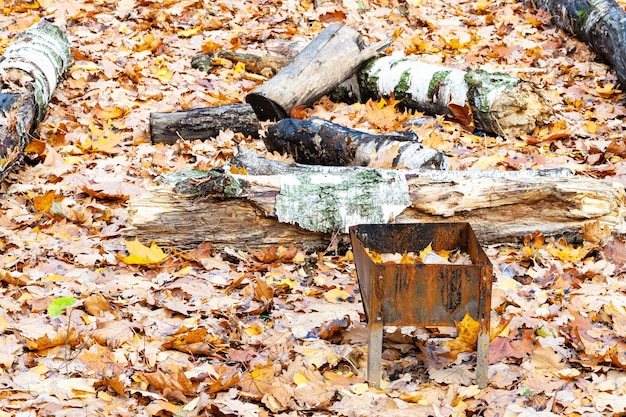 Forgotten grill on meadow covered by fallen leaves