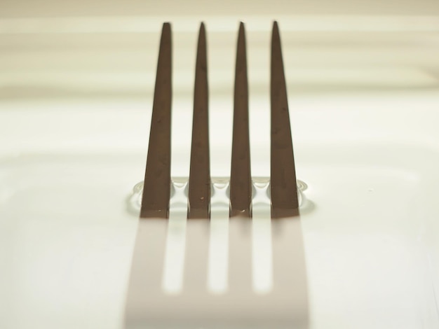 A fork is shown with the shadow of the other forks.