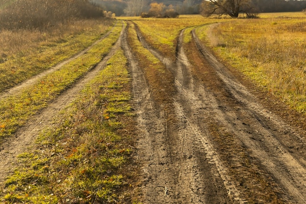 写真 フィールドの未舗装道路のフォーク