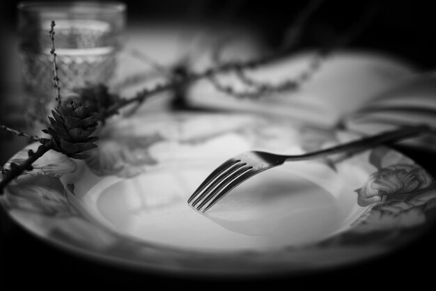 Fork in plate black white