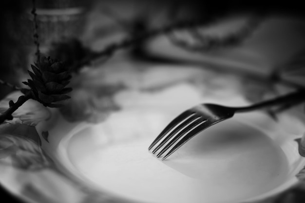 Fork in plate black white