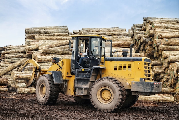 Forklift truck grabs wood in a wood processing plant                          