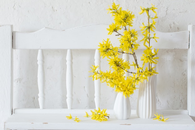 Forsythia  in vase on white background