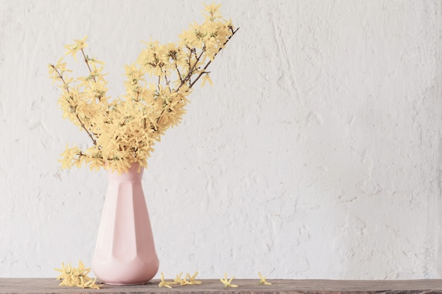 Forsythia  in vase on white background