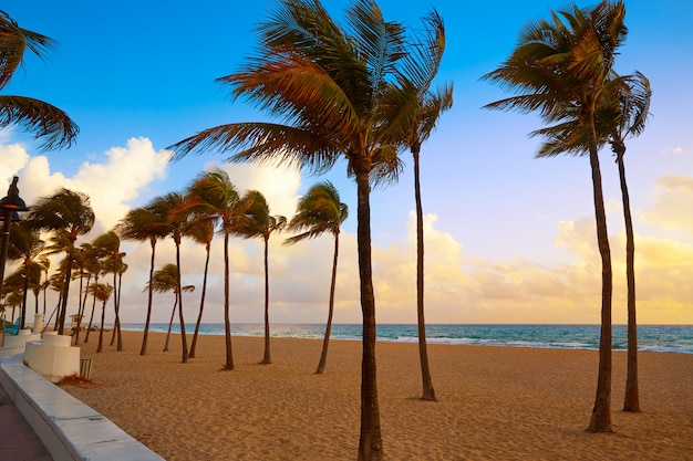 Foto alba florida stati uniti della spiaggia di fort lauderdale