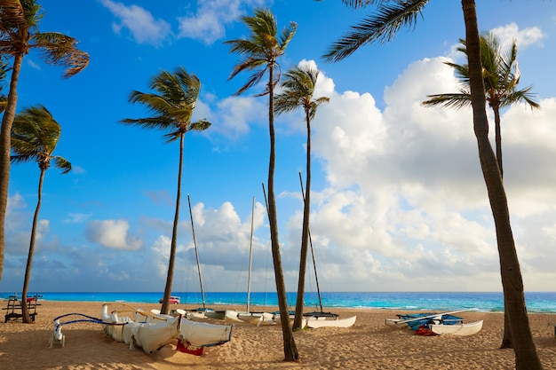 Alba florida stati uniti della spiaggia di fort lauderdale