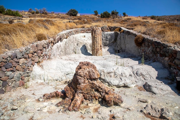 A fossilized tree trunk from the UNESCO Geopark "Petrified Forest of Sigri" on the island of Lesvos in Greece. Greece Lesbos fossil forest