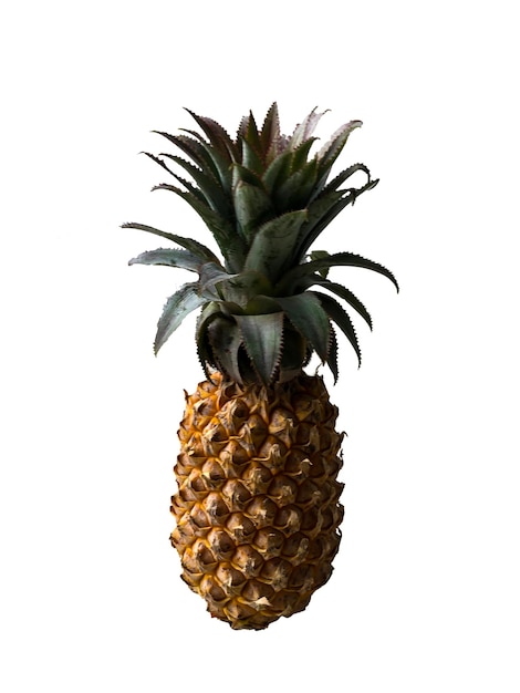 foto ananas op een witte achtergrond geïsoleerde snit