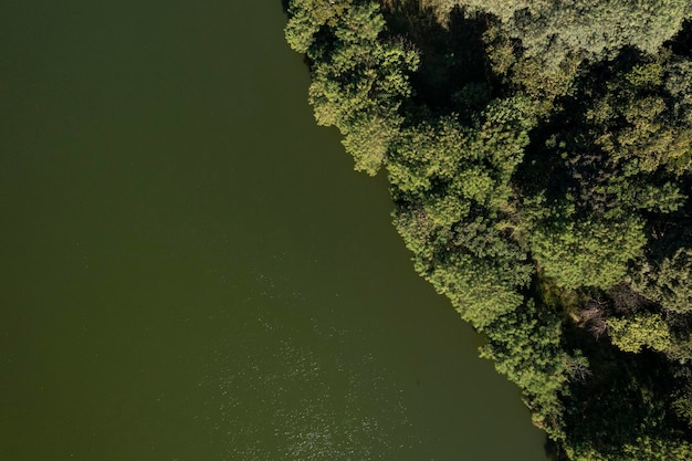 Foto bij 90 graden uitzicht op de rivier en het oeverbos met drone