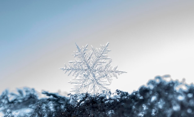 Foto echte sneeuwvlokken tijdens een sneeuwval, onder natuurlijke omstandigheden bij lage temperatuur