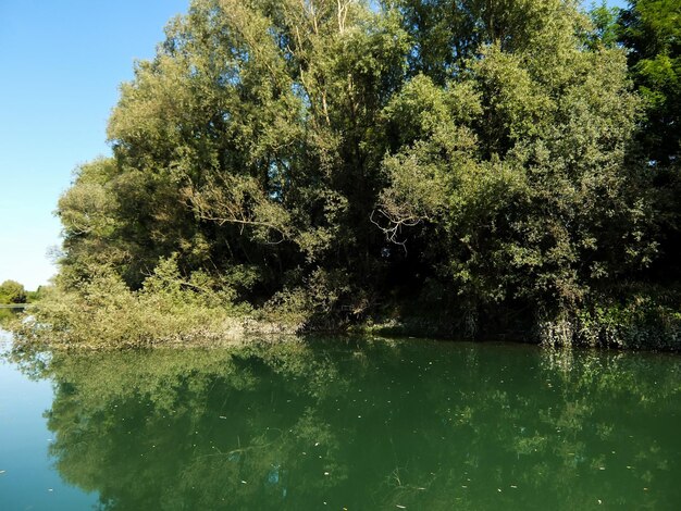 Foto Foto van de prachtige wilde rivier de Brenta in Noord-Italië