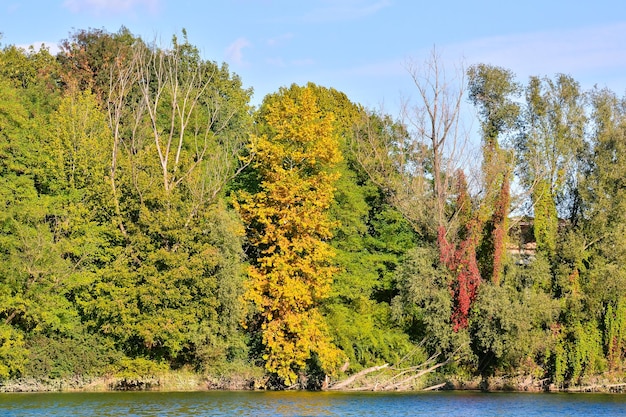 Foto Foto van de prachtige wilde rivier de Brenta in Noord-Italië