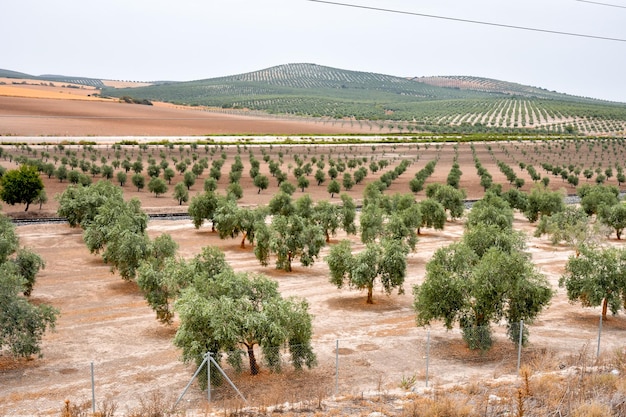 Foto foto van een prachtig landschap in Zuid-Spanje