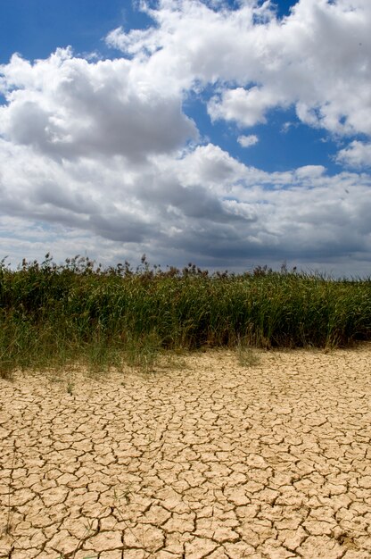 Foto gemaakt in de woestijn van Bardenas Reales