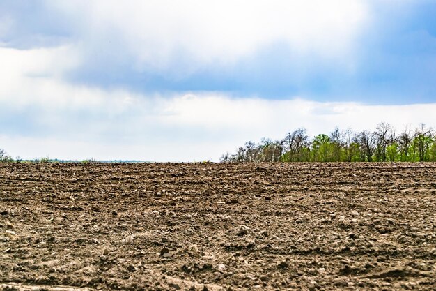 Foto over het thema grote lege boerderijveld voor biologische oogst