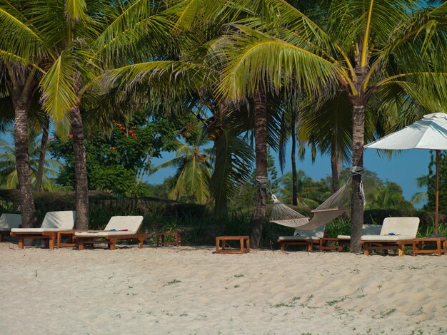 Foto prachtig landschap van palmbomen in de zee van India Goa