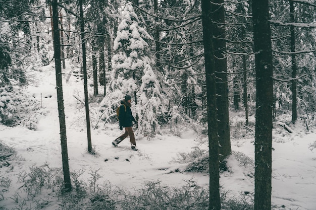 Foto uit de verte van mannelijke toerist die in het winterbos loopt