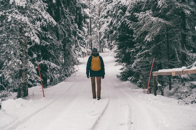 Foto van de achterkant van de mens voor een wandeling in het winterbos