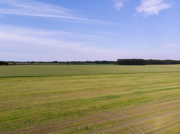 Foto van de drone. Een ruim rustig groen gemaaid veld op het platteland op een zonnige dag. Uitgestrekte landbouwgrond. Het begrip landbouw. De schoonheid van de aarde.