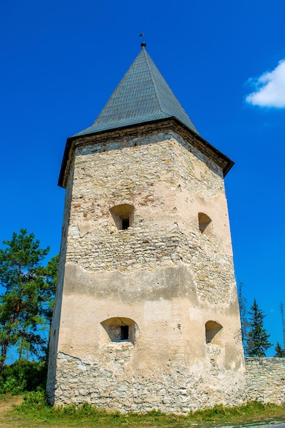 Foto van de oude toren van het steenkasteel in Krivche