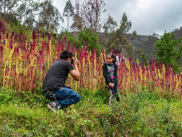 Foto van de Quinoa-plant op de perrons van Peru Door Yuri Ugarte Cespedes