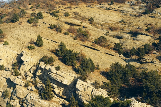 Foto van de steenlandschap van de bergvallei