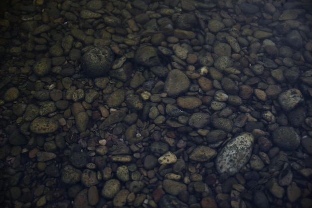 Foto van de stenen op de bodem van een rivier