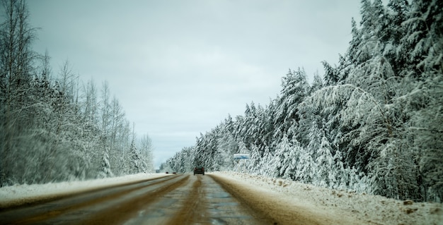 Foto van de winterweg met bomen in de sneeuw overdag