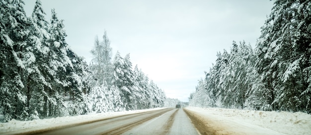 Foto van de winterweg met bomen in de sneeuw overdag