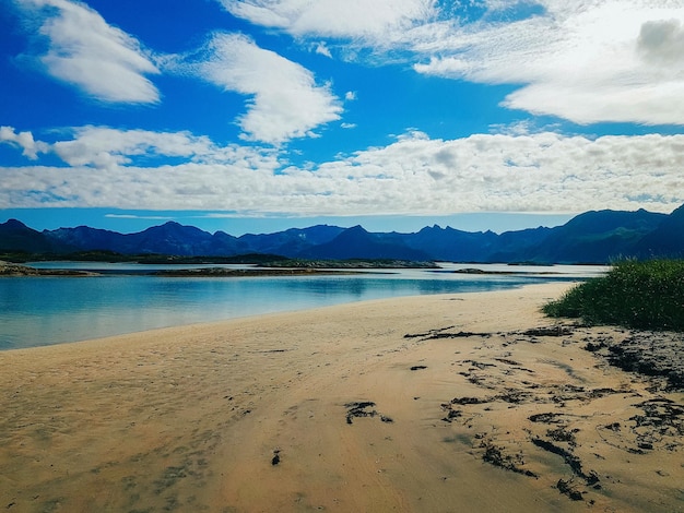 Foto van de zee aan de kust van het zand in Noorwegen in de zomer