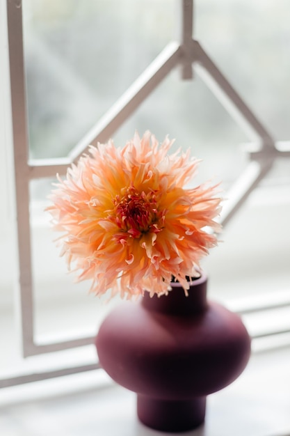 Foto van een boeket gemaakt van wilde verse lentebloemen gefotografeerd op een witte achtergrond