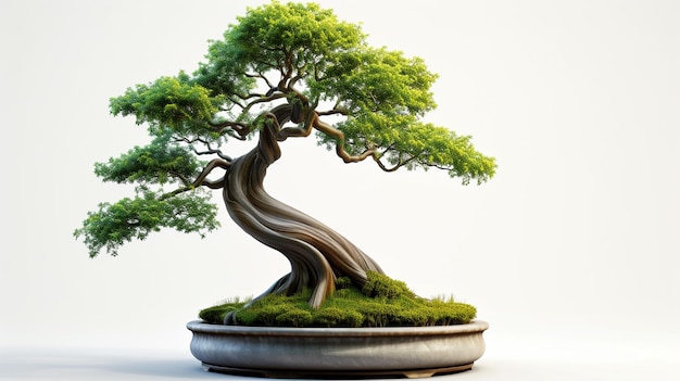 Foto van een bonsai boom in een pot in een geïsoleerde achtergrond Een perfecte bonsai plant gegenereerd door AI