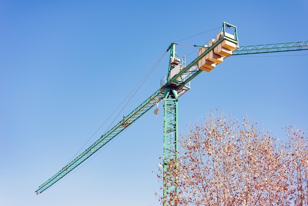 Foto van een groene bouwkraan naast de boomtoppen tegen een strakblauwe lucht gefotografeerd van onderaf