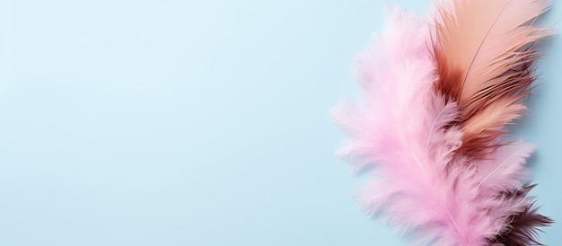 Foto van een levendige roze veer tegen een contrasterende blauwe achtergrond met kopieerruimte