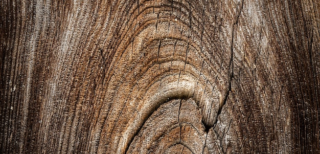 foto van een prachtig houten oppervlak