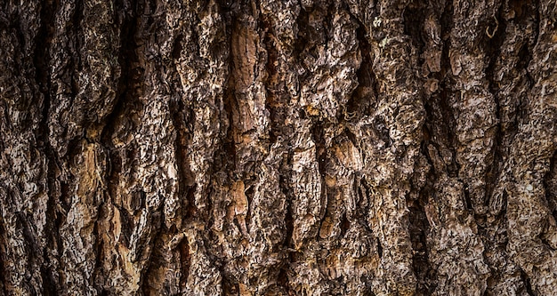 Foto foto van een prachtig houten oppervlak