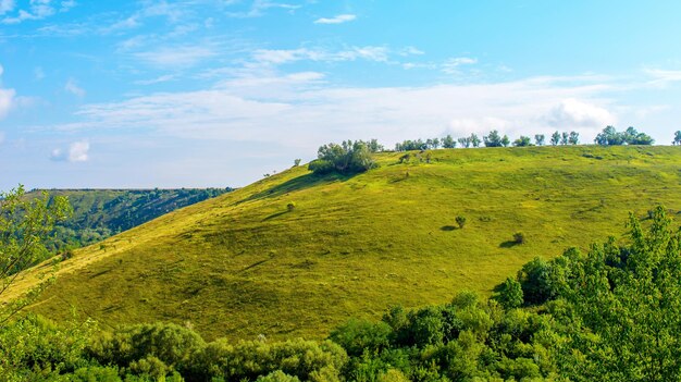 Foto van een prachtige heuvel en groen gras in de zomer