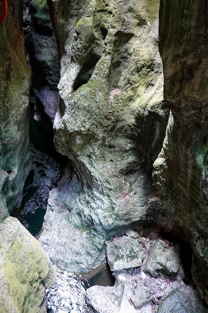 Foto van Forest France Gorge