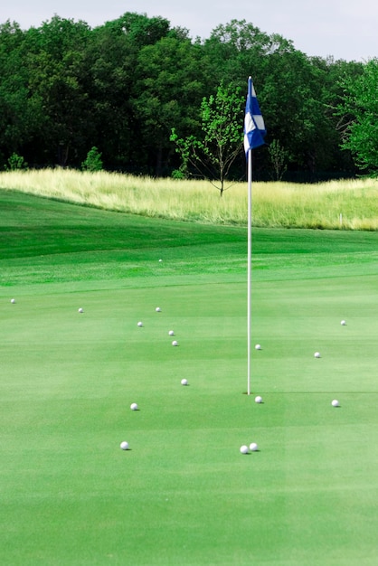 Foto van golflandschap met groen gras en vlag