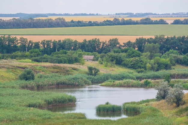 Foto van groen veld en blauwe lucht