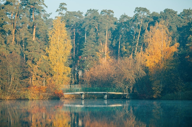 Foto van herfstbomen en vijver