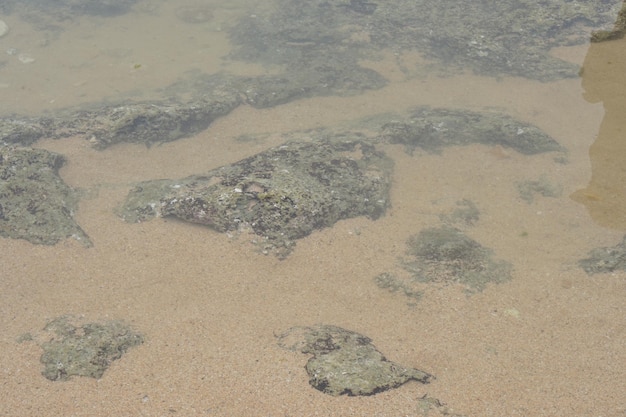 foto van het strand zand uitzicht