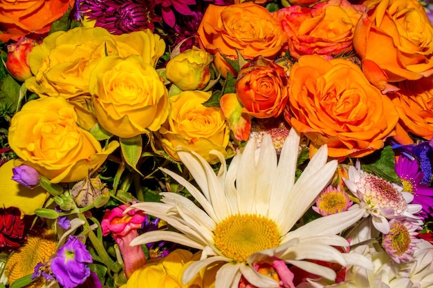 Foto van mooie close-up abstracte bloem achtergrond bestaat uit veel bloemen