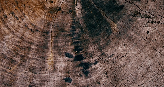 foto van natuurlijk getextureerd houten oppervlak