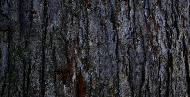 foto van natuurlijk getextureerd houten oppervlak