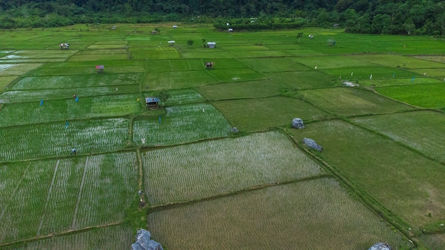 Foto van rijstveldlandschap in Brayen dorp Aceh Besar district Aceh Indonesië