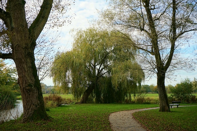 Foto van Salisbury