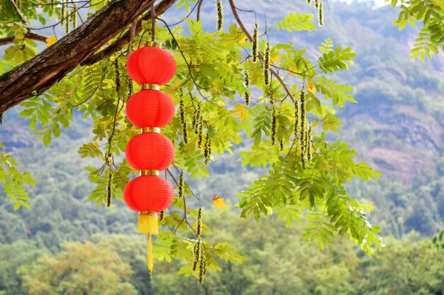 Foto foto van verschillende traditionele chinese lantaarns die aan bomen hangen