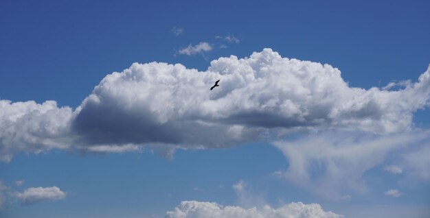 Foto foto witte wolk op blauwe lucht